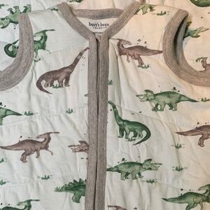 Burt's Bees Baby Dino Sleep Sack - Green and Gray